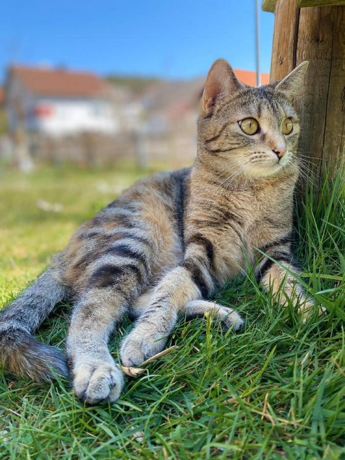 Naturspiel Posing Exterior foto